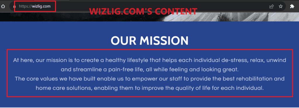 A screenshot of the wizlig.com's content